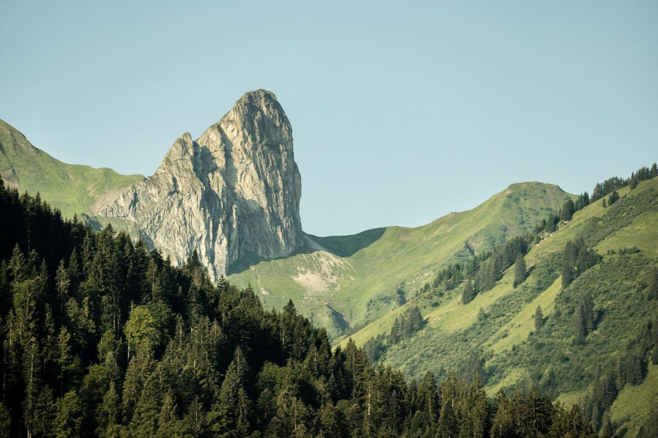 Boutiquehotel Das Edelweiss Schoppernau Eksteriør billede