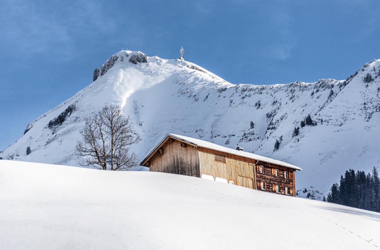 Boutiquehotel Das Edelweiss Schoppernau Eksteriør billede